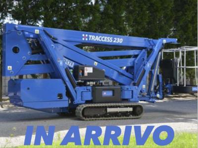 Sequani - CTE TRACCESS 230 in vendita da Emilia Gru srl