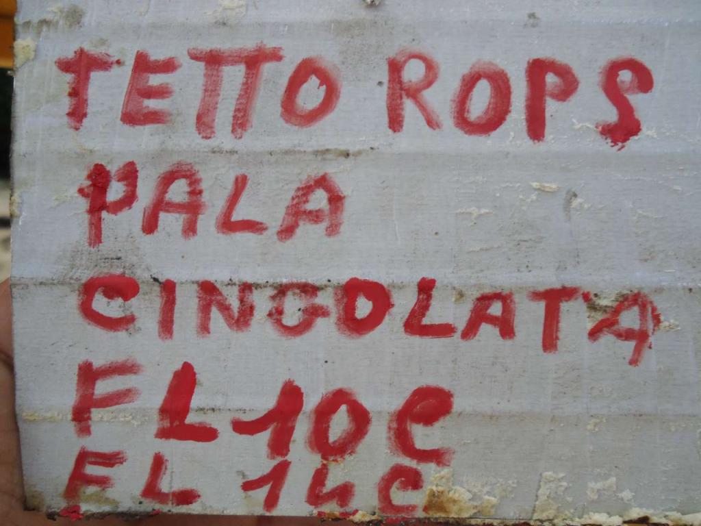 Tetto / Protezione ROPS per Fiat Allis FL10C - FL14C Foto 6