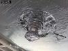 Schmitz SCB*S3T Sliding Roof Foto 29 thumbnail