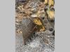 Caterpillar 320B Foto 13 thumbnail