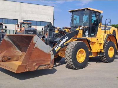 Hyundai HL955A in vendita da DMO Spa