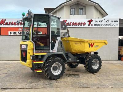 Wacker Neuson DV60 4x4 in vendita da Massucco T. Srl