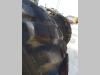 Pneumatico con Cerchio per MISURA 17.5 R25 Foto 4 thumbnail
