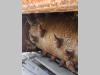 Simex PL5020 Foto 10 thumbnail