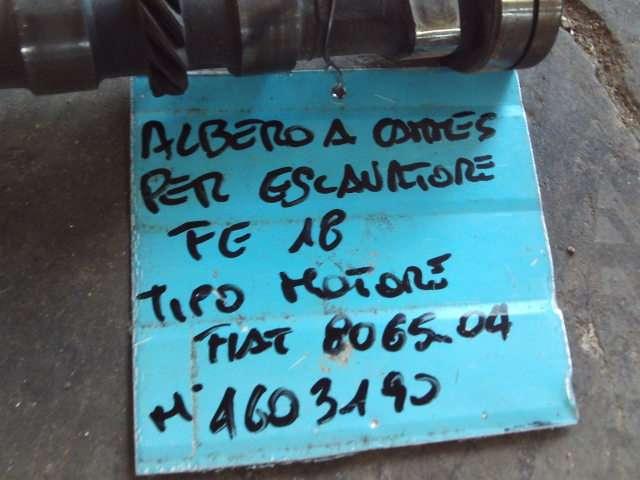 Albero a camme per Fiat Allis FE18 - MOTORE FIAT 8065.04 - N. 4603190 Foto 4
