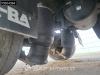 Fiege Tec AT 2 axles Animal Viehanhänger Foto 26 thumbnail