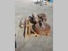 Ruota folle per ZAXIS 240.3 e 210 Foto 1 thumbnail