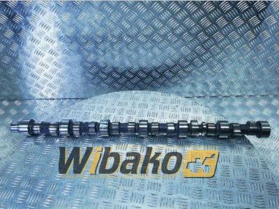 Case 6T-830 in vendita da Wibako