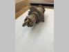 Giunto Rotante per Hitachi ZX135US Foto 4 thumbnail