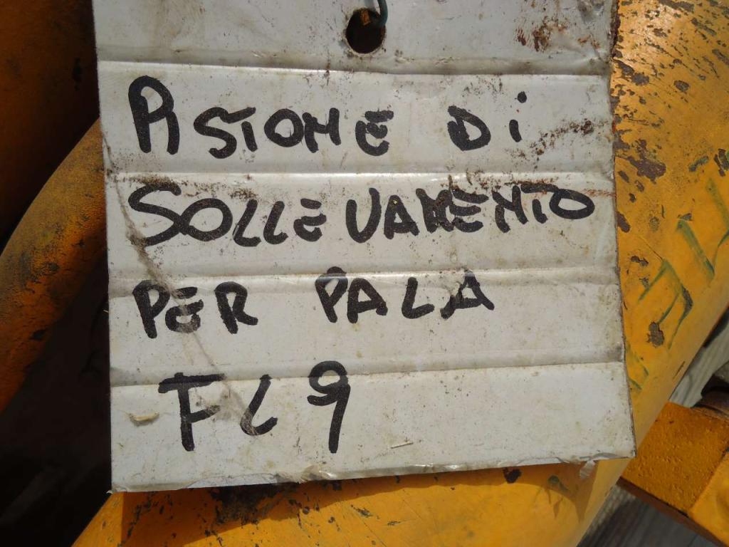 Pistone sollevamento per Fiat Allis FL9 Foto 4