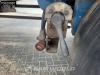 Spierings Semirimorchio furgone Foto 27 thumbnail