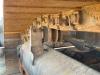 Liebherr PR736LGP Foto 11 thumbnail