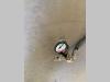 Supporto per filtro per Bitelli BB650 Foto 3 thumbnail