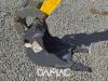 Wacker Neuson 803 Foto 20 thumbnail