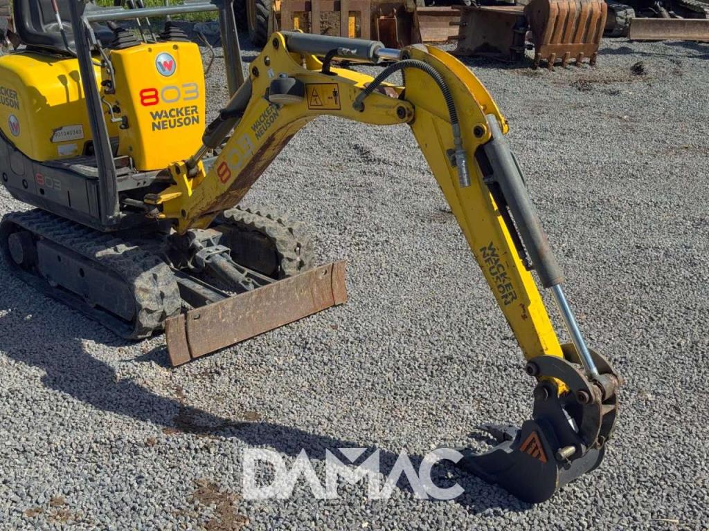 Wacker Neuson 803 Foto 17