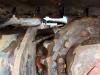 JCB 48Z-1 - Hammer Lines / Quick Coupler Foto 23 thumbnail