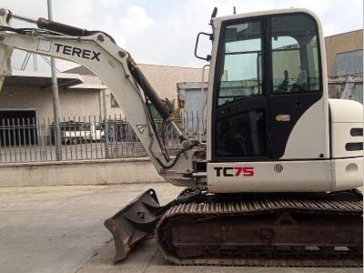 Terex TC75 in vendita da Galli Battista Srl
