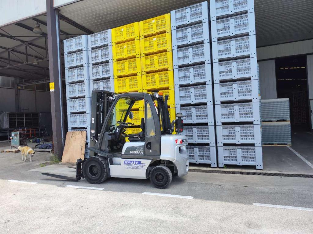 Nissan DX25 Foto 2