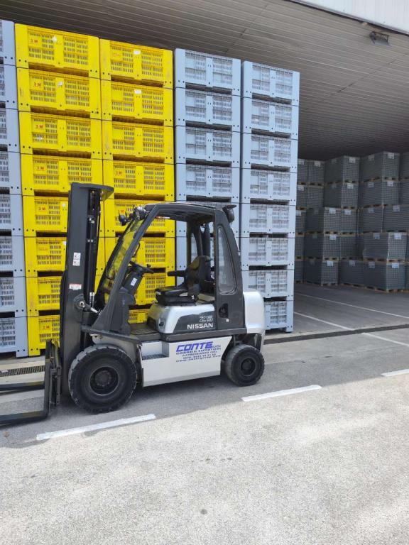 Nissan DX25 Foto 3