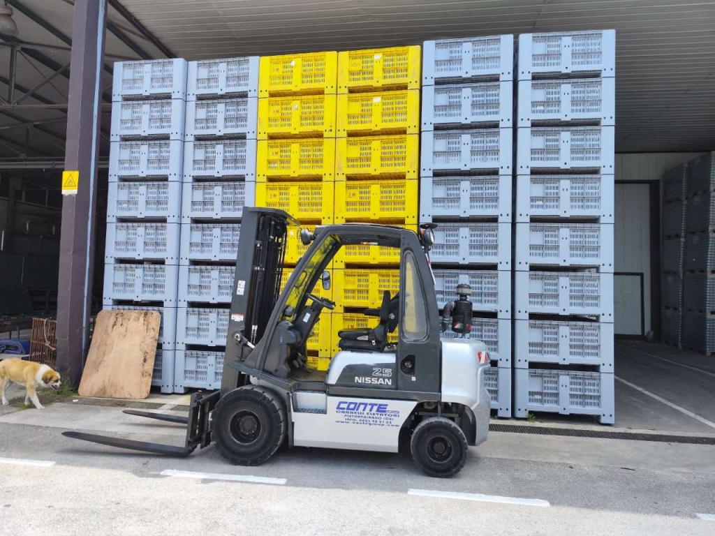 Nissan DX25 Foto 5