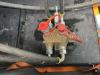 Atlas Copco QAS 150 VD Foto 23 thumbnail