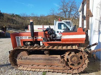 Fiat 80 65 in vendita da PETRINI SECONDO Vendita Usato