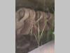 Meccanica Corsetti TRM Foto 9 thumbnail