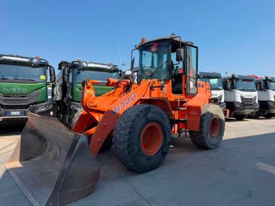 Fiat Hitachi W130A in vendita da Omeco Spa