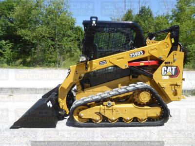 Caterpillar 259D3 in vendita da Piccinini Macchine Srl