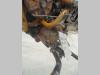 Pompa idraulica cambio per Fiat Allis FL9 Foto 1 thumbnail