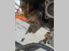 Pompa idraulica cambio per Fiat Allis FL9 Foto 2 thumbnail