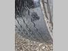 Man TGS 26.440 Foto 28 thumbnail