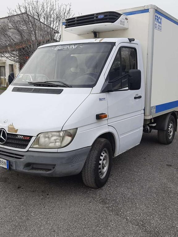 Mercedes-Benz 311 CDI Foto 1