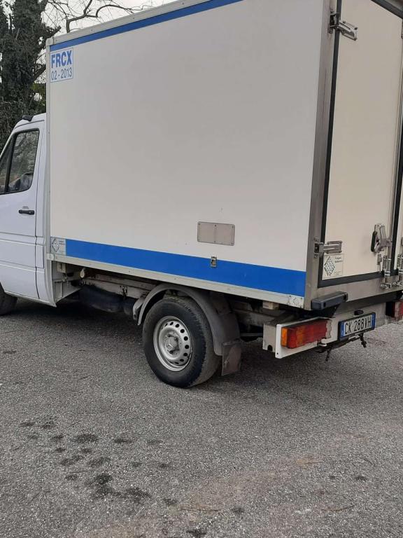 Mercedes-Benz 311 CDI Foto 3
