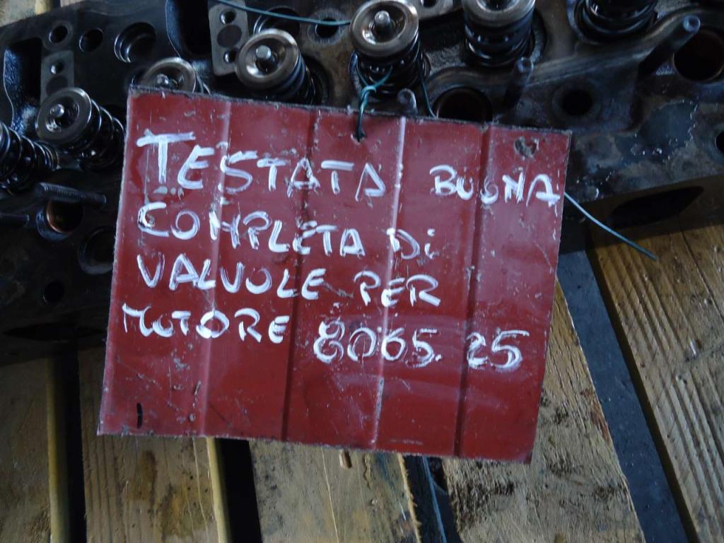 Testata motore per Motore 8065.25 Foto 2