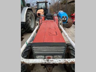 Fiat 55-66 DT in vendita da Buccione Commerciale Srl