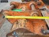Caterpillar 305 E2 CR Foto 20 thumbnail