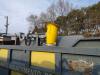 Cassone scarrabile Foto 2 thumbnail
