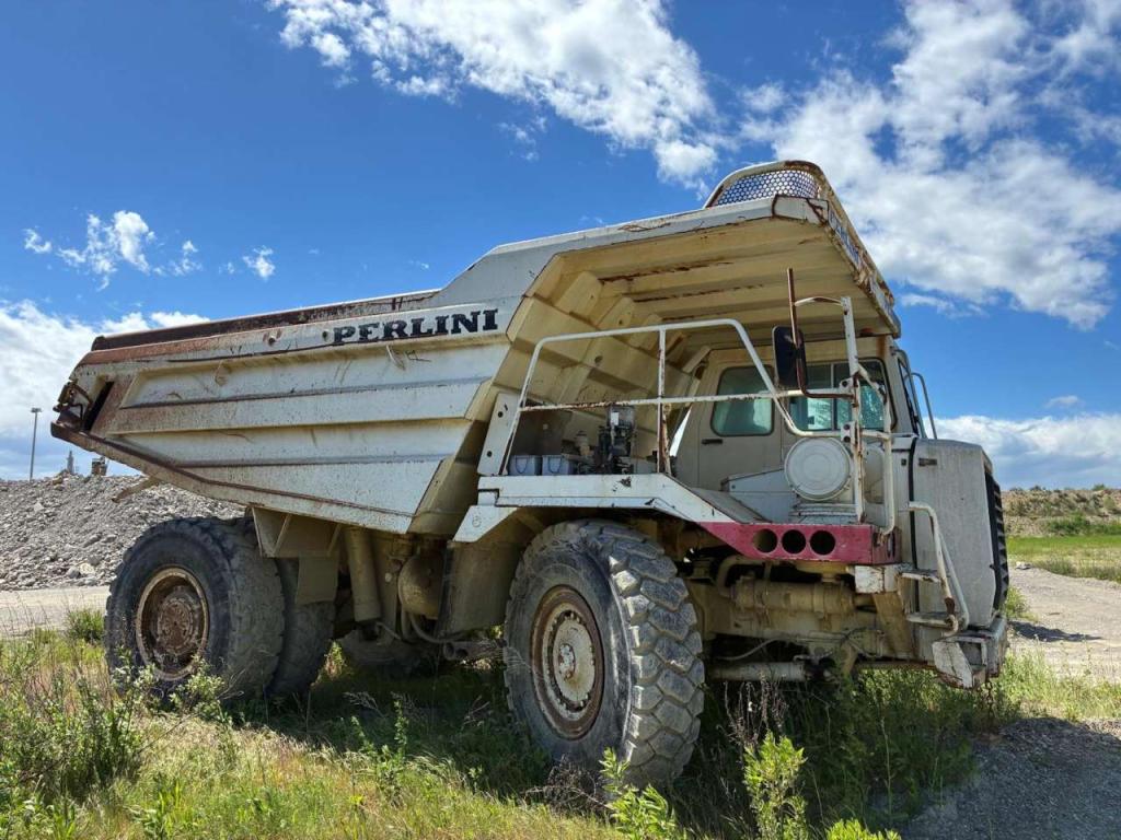 Perlini DP405 Foto 2