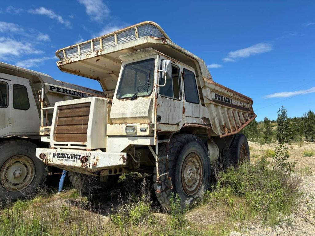 Perlini DP405 Foto 3