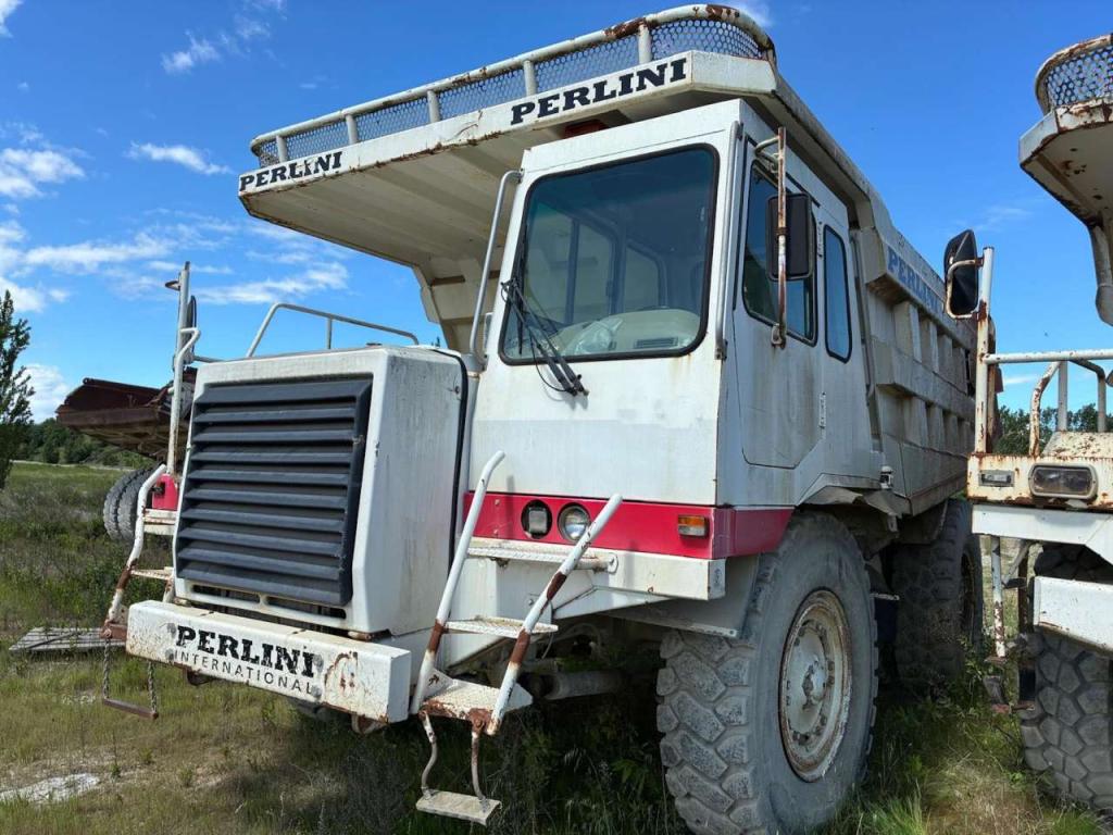 Perlini DP405 Foto 5