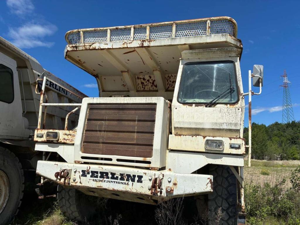 Perlini DP405 Foto 6