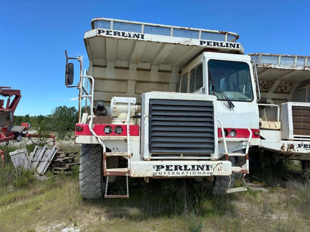 Perlini DP405 Foto 9