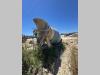 Cifa RY1100 Foto 3 thumbnail