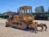 Fiat Allis FA 150 - DGM Foto 3 thumbnail