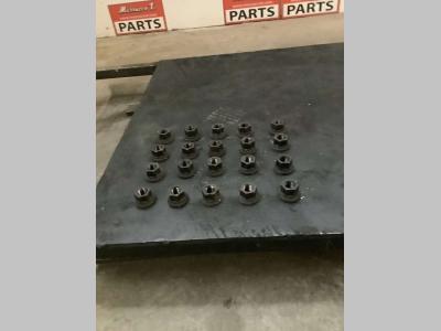 Dadi per cerchioni in vendita da Massucco T. Srl Area Ricambi