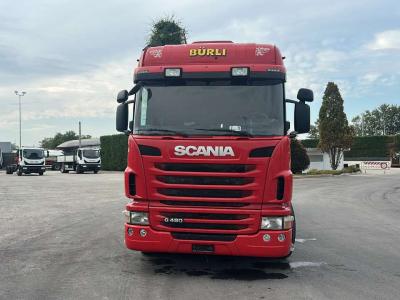 Scania G 480 in vendita da Commerciale Adriatica MMT. Srl