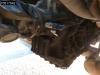 Volvo FH 440 FH 4X2 Globetrotter VEB+ Euro5 Foto 12 thumbnail