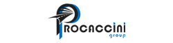 Venditore: Procaccini Srl