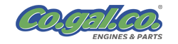 Co.Gal.Co Srl